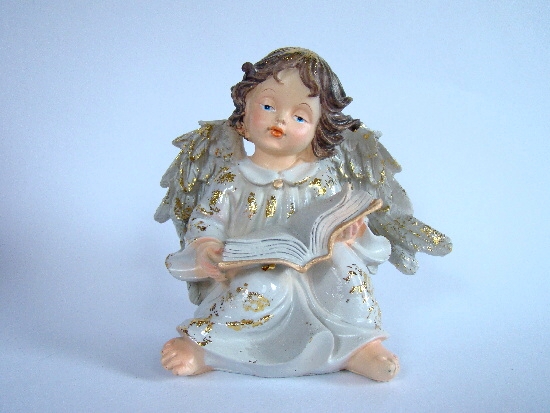 Anjel 5597 C