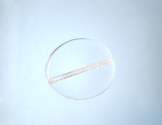 Mačkané korálky 20 x 17 x 5 mm